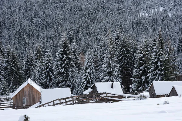 山シャレー ロッジと牧歌的な冬の不思議の国の山の風景 — ストック写真