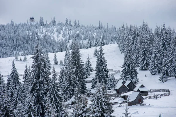 Villaggio Alpino Transilvania Romania Case Innevate Inverno — Foto Stock