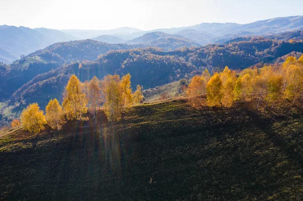 Drohne Über Herbstlicher Landschaft Transsilvanien Rumänien — Stockfoto