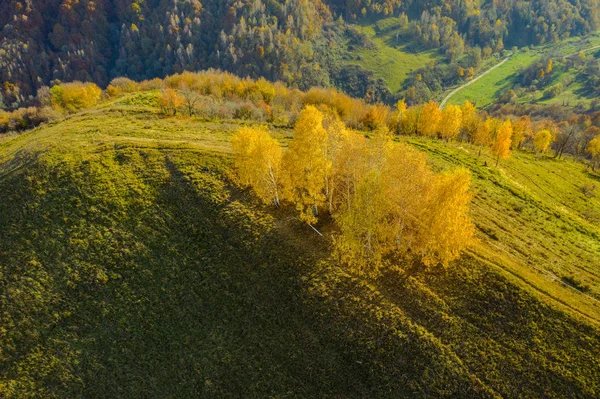 Transylvania 루마니아에서가 비행기 이미지 — 스톡 사진