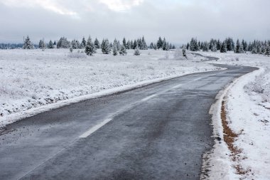 Kış asfalt yol karda orman kaplı
