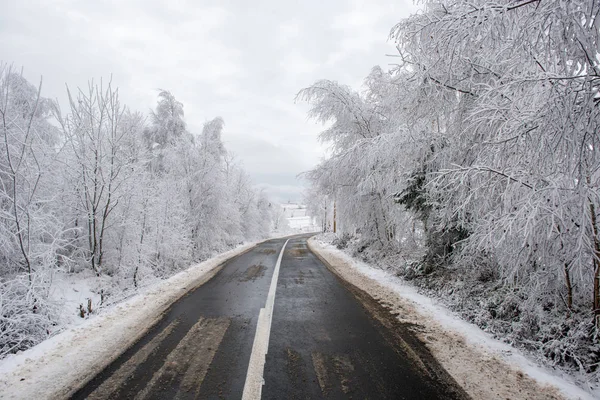 Kış Asfalt Yol Karda Orman Kaplı — Stok fotoğraf