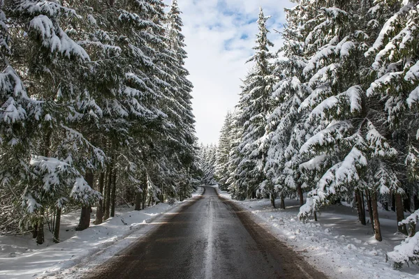 Estrada Asfalto Inverno Floresta Coberta Neve — Fotografia de Stock