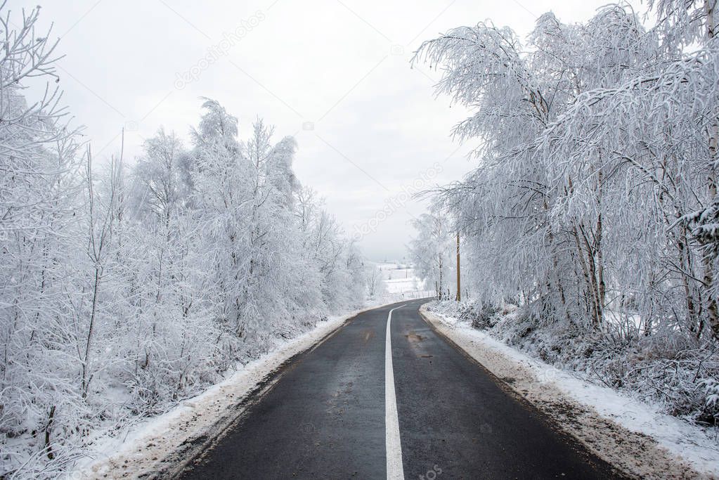 Winter asphalt road in the snow covered forest