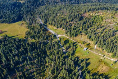 Atış, yeşil orman üstten görünüm hava uçak
