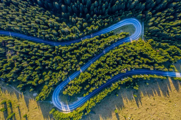 Vista Aérea Floresta Pinheiros Verdes Uma Estrada Serpentina País Capturada — Fotografia de Stock