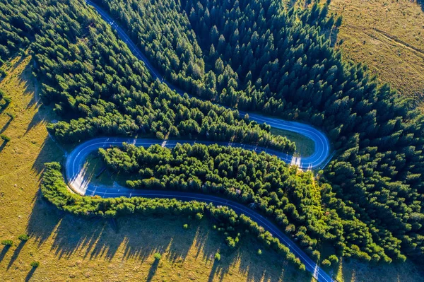 Vista Aérea Floresta Pinheiros Verdes Uma Estrada Serpentina País Capturada — Fotografia de Stock