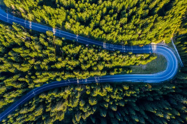 Vista Aérea Floresta Pinheiros Verdes Uma Estrada Serpentina País Capturada — Fotografia de Stock