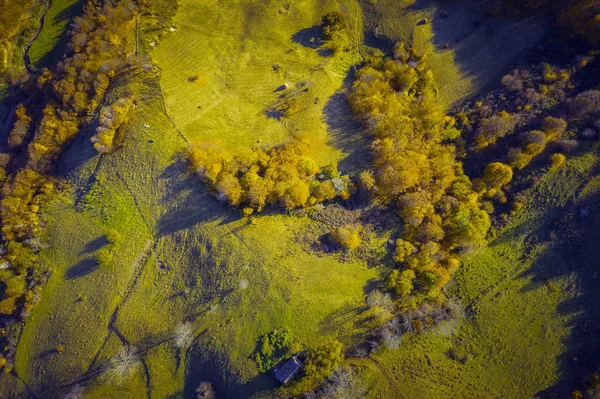 Antenne Boven Weergave Van Herfst Bos Groene Weide Drone Schot — Stockfoto