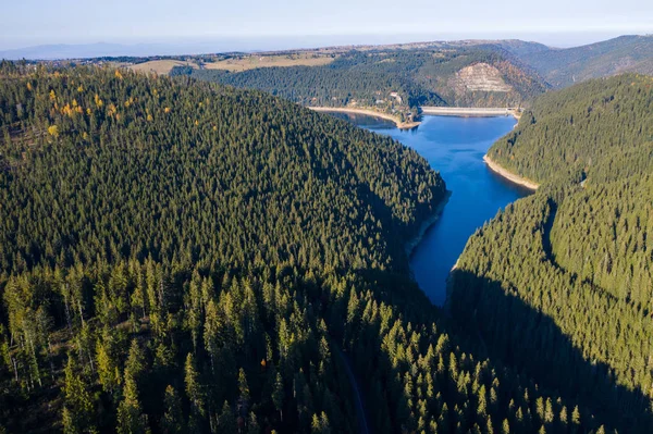 Letecká Dron Záběr Jezero Zelený Les Belis Sedmihradsko Rumunsko — Stock fotografie