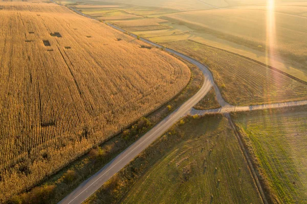 Aerial Drönarvy Korn Fält Vete Gyllene Solnedgång Jordbruks Mönster — Stockfoto