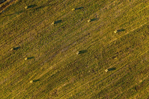 Аэрофоторобот Сеновальными Рулонами Тюки Пшеничном Поле Вечернем Свете — стоковое фото