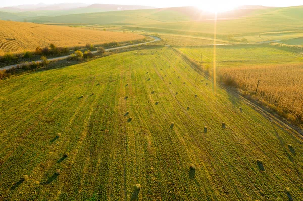 干し草の空中ドローン写真ロール 後半の午後のライトの麦畑で俵 — ストック写真