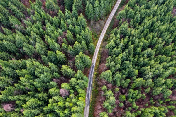 Vista Aérea Espetacular Drone Estrada Florestal Capturada Cima — Fotografia de Stock