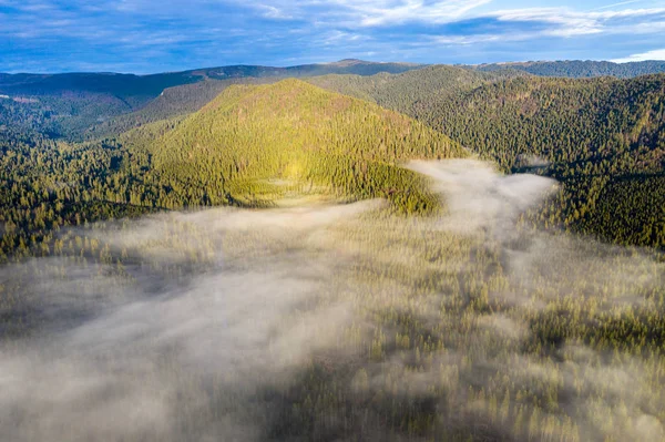 Aerial Drone View Morning Mist Low Cloud Mountain Forest — Stock Photo, Image