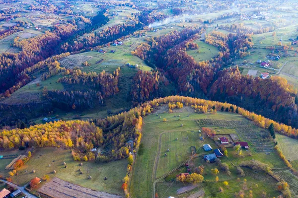 Drohnenblick Auf Herbstwiese Und Wald Naturaufnahmen Aus Der Luft — Stockfoto