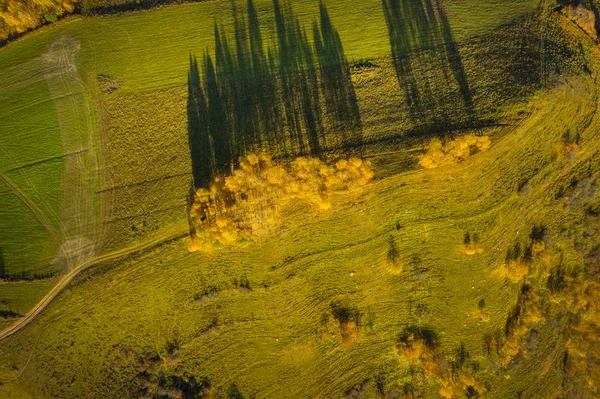 Вид Беспилотника Осенний Луг Лес Пневматический Кадр — стоковое фото