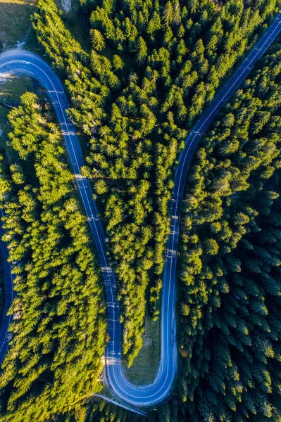 Luftaufnahme Von Grünem Kiefernwald Und Einer Serpentinenstraße Die Von Einer — Stockfoto