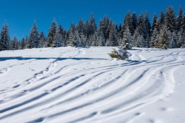 Freeride kayak ve snowboard parça toz kar 