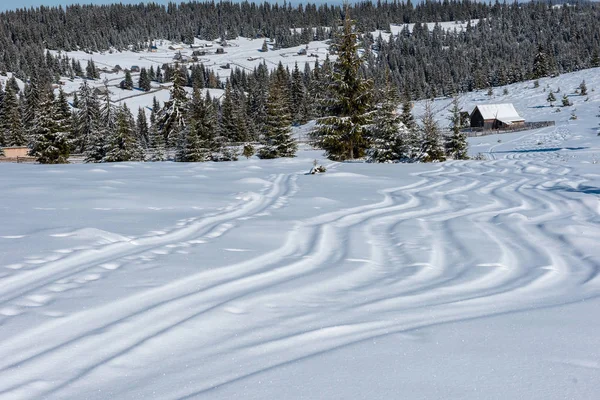 Freeride Ski Snowboard Tracks Poeder Sneeuw — Stockfoto