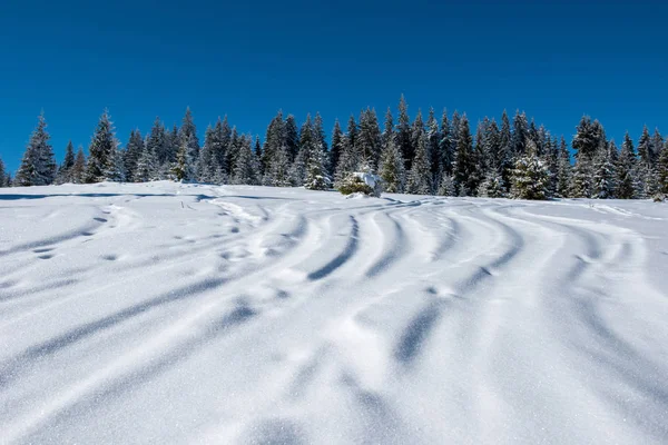 Freeride Ski Snowboard Tracks Powder Snow — Stock Photo, Image