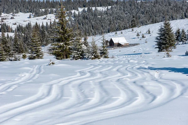Фрірайд Лижні Сноуборд Треки Порошковому Снігу — стокове фото