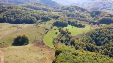 Hava 4k sonbahar manzara video Robot. Dağ ve orman yukarıdan