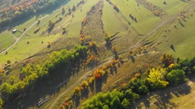 Hava 4k sonbahar manzara video Robot. Dağ ve orman yukarıdan