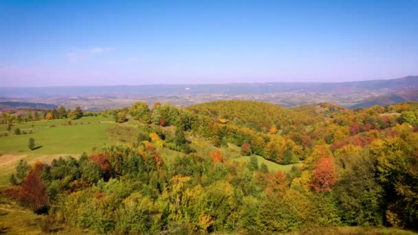 Luchtfoto Drone Video Van Herfst Landschap Bergen Bos Van Bovenaf — Stockvideo