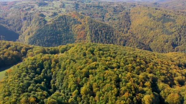 Aerial Drone Video Höstlandskap Berg Och Skog Från Ovan — Stockvideo