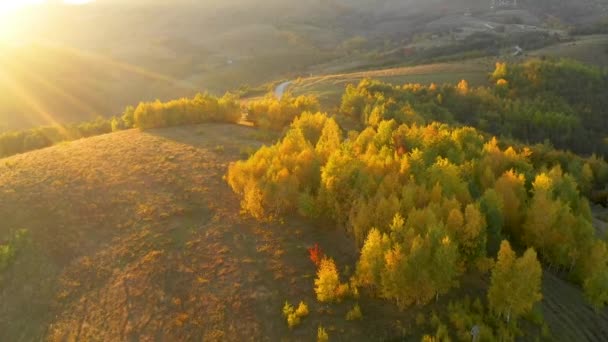 Aerial Drone Video Höstlandskap Berg Och Skog Från Ovan — Stockvideo