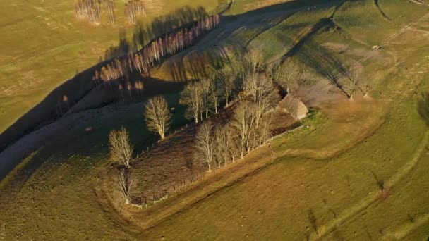 Sonbahar kırsal dağ manzarası ile ahşap evler, thatched çatı ve toprak yola Transilvanya, Romanya hava dron 4k görünümü