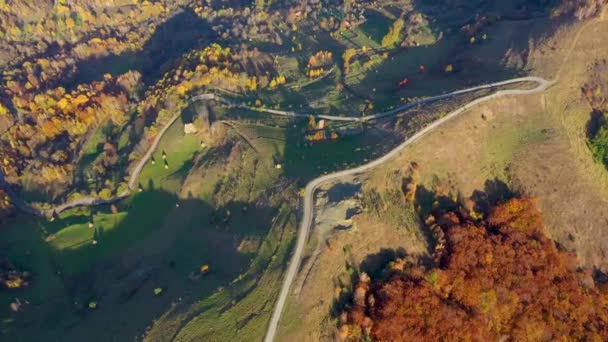 Légi Drone Nézd Őszi Táj Hegyi Tájra Faházak Nádtetős Földút — Stock videók