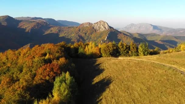Letecká Hukot Video Podzimní Krajiny Hory Les Shora — Stock video