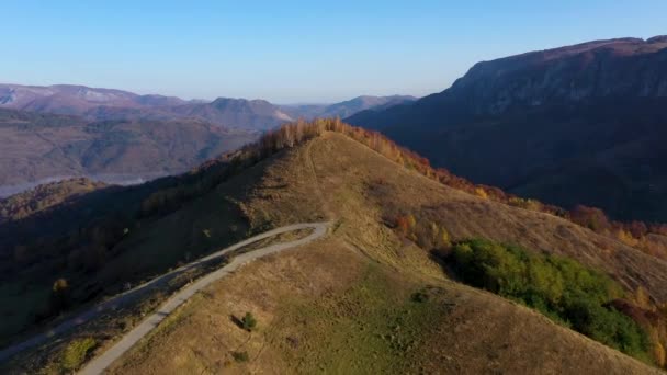 Letecká Hukot Video Podzimní Krajiny Hory Les Shora — Stock video