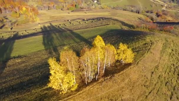 Antenne Drohnenvideo Der Herbstlandschaft Berge Und Wald Von Oben — Stockvideo