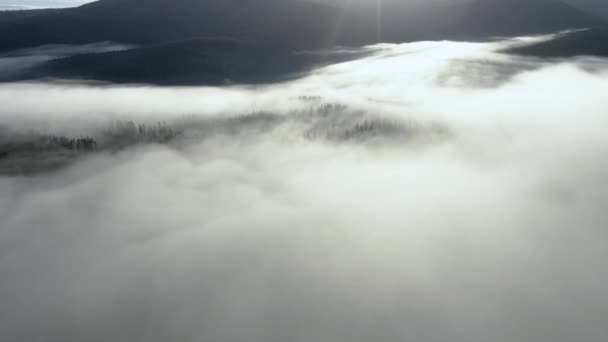 Volare Sopra Nuvole Drone Aereo Film Alba Mattina Nebbiosa Foresta — Video Stock