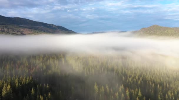 雲の上飛ぶ 日の出 霧の朝と山の森の空中ドローン — ストック動画