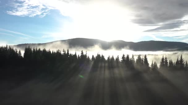 Flying Clouds Aerial Drone Movie Sunrise Misty Morning Forest Mountains — Stock Video