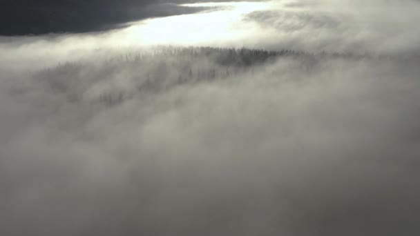 Fliegen Über Wolken Drohne Film Von Sonnenaufgang Nebligem Morgen Und — Stockvideo