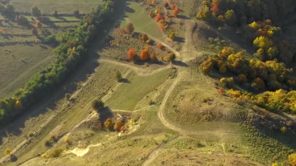 Vista Aérea Del Dron Fortaleza Medieval Coltesti Transilvania Rumania — Vídeos de Stock