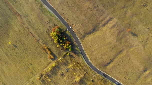 アスファルトの道路を巻き 秋で車を動かしての空中ドローン ビデオ — ストック動画