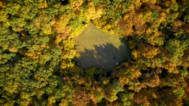 Luchtfoto Drone Film Man Zijn Fiets Een Forest Lawn Wissen — Stockvideo