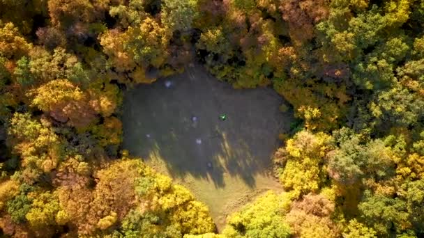 Drone Flygfoto Över Cyklist Ligga Ner Och Vila Skog Gräsmatta — Stockvideo