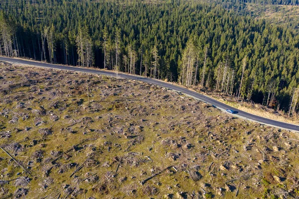 Avskogning Flygfoto Drone Skott Förstörda Skogen Rumänien Globala Uppvärmningen Koncept — Stockfoto
