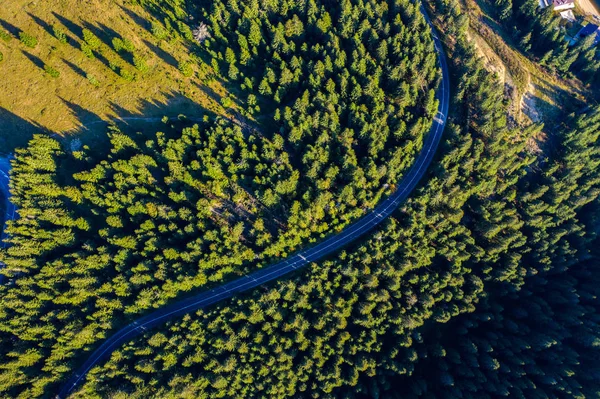 从上面的无人机上捕捉到的绿色松树林和乡村蛇形公路的鸟图 — 图库照片