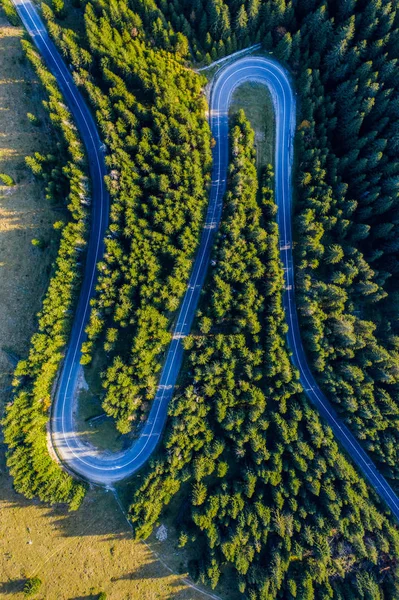 Vista Aérea Floresta Pinheiros Verdes Uma Estrada Serpentina País Capturada — Fotografia de Stock