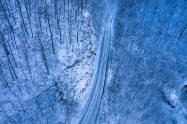 Mavi saat sırasında ormandaki karanlık kış yol. Hava dron görünümü