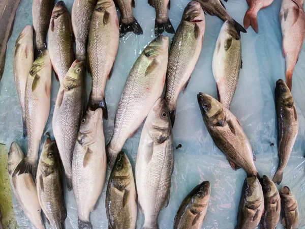 Široký Úhel Pohledu Čerstvých Ryb Ledě Trhu — Stock fotografie