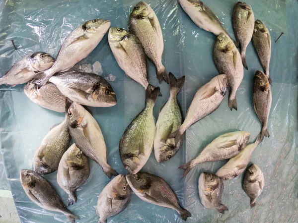 Brede Hoekmening Van Verse Vis Het Ijs Markt — Stockfoto